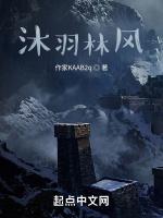 沐羽林风