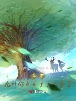 九灵乔木藤