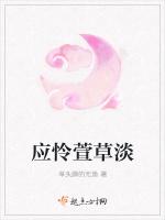 应怜萱草淡