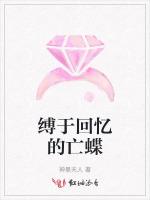 缚于回忆的亡蝶