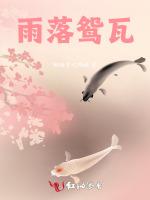 雨落鸳瓦