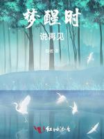 梦醒时说再见