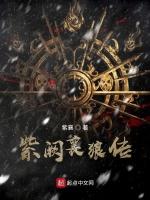 紫阙襄狼传