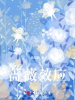蔷薇效应